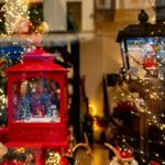 Verrassende combinaties met cacti en vetplanten in de kerstdecoratie