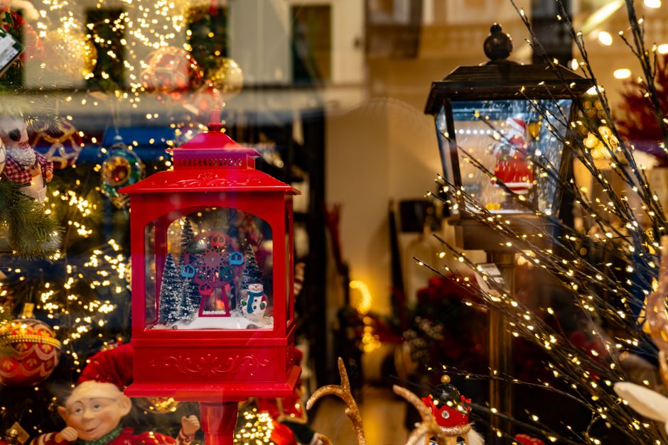 Verrassende combinaties met cacti en vetplanten in de kerstdecoratie