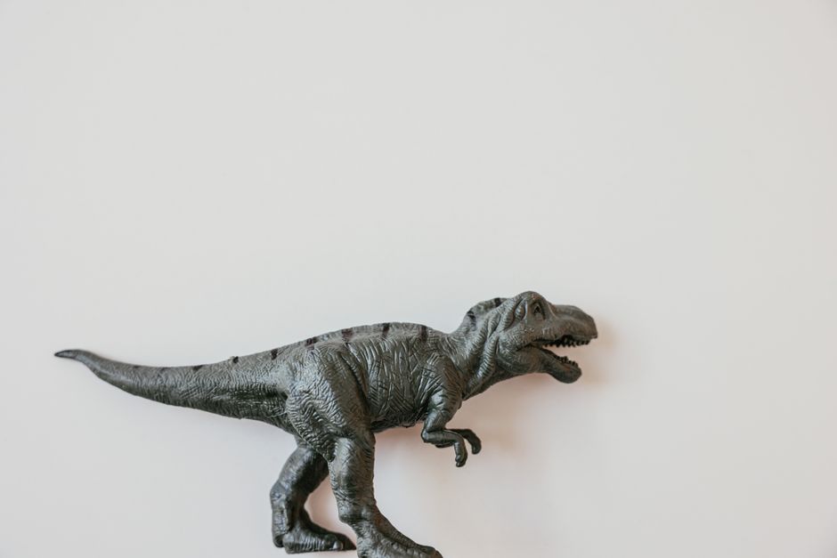 Werkplek voor kinderen: creativiteit stimuleren met dino fotobehang