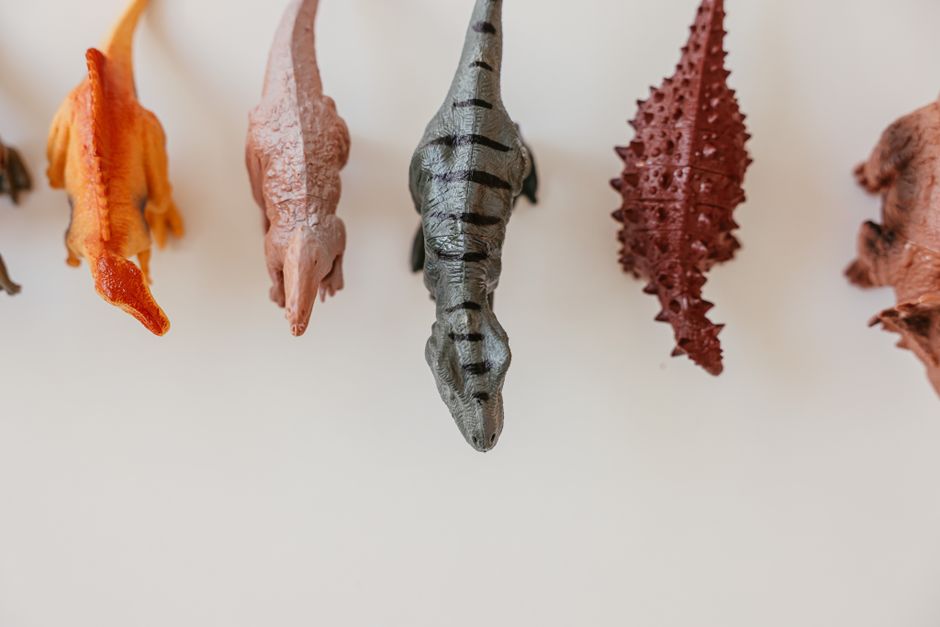 Kinderruimte vol dino's inspireert creatieve geest.